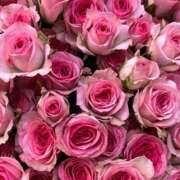 ヒメ日記 2025/09/19 01:21 投稿 遠藤 優里 超LEXUS