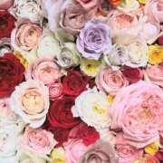 ヒメ日記 2025/09/20 02:11 投稿 遠藤 優里 超LEXUS