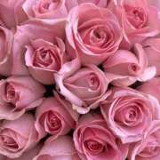 ヒメ日記 2025/09/21 01:56 投稿 遠藤 優里 超LEXUS