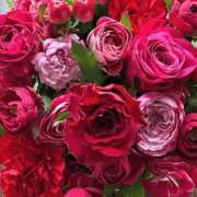 ヒメ日記 2025/09/27 01:21 投稿 遠藤 優里 超LEXUS