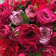 ヒメ日記 2025/09/28 01:41 投稿 遠藤 優里 超LEXUS