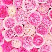 ヒメ日記 2025/10/18 02:01 投稿 遠藤 優里 超LEXUS