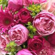 ヒメ日記 2025/11/14 01:41 投稿 遠藤 優里 超LEXUS