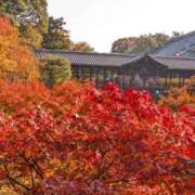 ヒメ日記 2025/11/29 01:21 投稿 遠藤 優里 超LEXUS