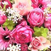 ヒメ日記 2025/12/14 00:41 投稿 遠藤 優里 超LEXUS