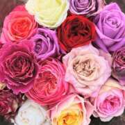 ヒメ日記 2025/12/15 00:31 投稿 遠藤 優里 超LEXUS