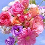 ヒメ日記 2026/02/11 17:01 投稿 遠藤 優里 超LEXUS