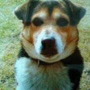 ヒメ日記 2026/03/09 00:11 投稿 遠藤 優里 超LEXUS