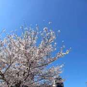 ヒメ日記 2025/04/07 13:04 投稿 いろは luxury spa 風雅