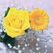 ヒメ日記 2025/12/30 08:19 投稿 ことり 熟女家 堺東店