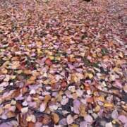 ヒメ日記 2025/10/27 20:53 投稿 AIKA（あいか） UTAKATA