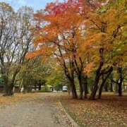 ヒメ日記 2025/10/30 21:23 投稿 AIKA（あいか） UTAKATA