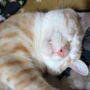 ヒメ日記 2025/01/06 07:34 投稿 あみ 美熟女倶楽部Hip's 春日部店