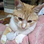 ヒメ日記 2025/01/07 12:05 投稿 あみ 美熟女倶楽部Hip's 春日部店