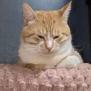 ヒメ日記 2025/01/09 06:44 投稿 あみ 美熟女倶楽部Hip's 春日部店