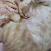 ヒメ日記 2025/01/12 22:14 投稿 あみ 美熟女倶楽部Hip's 春日部店