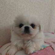 ヒメ日記 2025/01/19 16:04 投稿 あみ 美熟女倶楽部Hip's 春日部店