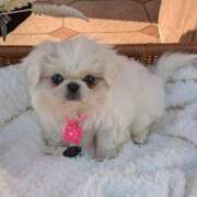 ヒメ日記 2025/02/22 11:14 投稿 あみ 美熟女倶楽部Hip's 春日部店