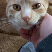 ヒメ日記 2025/04/25 15:45 投稿 あみ 美熟女倶楽部Hip's 春日部店