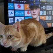 ヒメ日記 2025/04/30 11:24 投稿 あみ 美熟女倶楽部Hip's 春日部店