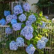 ヒメ日記 2025/06/10 09:02 投稿 あみ 美熟女倶楽部Hip's 春日部店