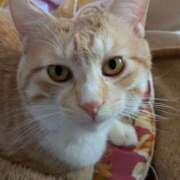 ヒメ日記 2025/06/17 10:44 投稿 あみ 美熟女倶楽部Hip's 春日部店