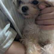 ヒメ日記 2025/06/27 14:44 投稿 あみ 美熟女倶楽部Hip's 春日部店