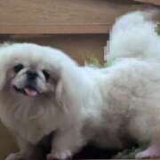 ヒメ日記 2025/07/18 09:27 投稿 あみ 美熟女倶楽部Hip's 春日部店