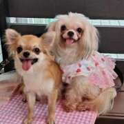 ヒメ日記 2025/08/04 21:44 投稿 あみ 美熟女倶楽部Hip's 春日部店