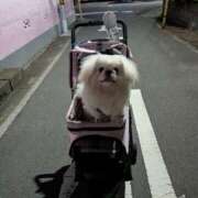 ヒメ日記 2025/08/08 09:44 投稿 あみ 美熟女倶楽部Hip's 春日部店