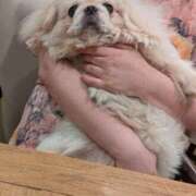 ヒメ日記 2025/08/09 13:05 投稿 あみ 美熟女倶楽部Hip's 春日部店