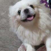 ヒメ日記 2025/11/13 17:02 投稿 あみ 美熟女倶楽部Hip's 春日部店