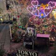 ヒメ日記 2025/11/28 15:19 投稿 あみ 美熟女倶楽部Hip's 春日部店