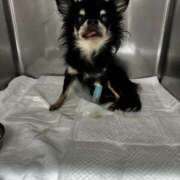 あみ 元気玉下さい❣️ 美熟女倶楽部Hip's 春日部店