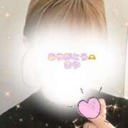 ヒメ日記 2025/01/30 16:42 投稿 まや 奥様プリモ