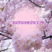ヒメ日記 2025/03/25 12:59 投稿 まや 奥様プリモ