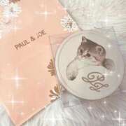 ヒメ日記 2025/01/26 11:24 投稿 しろ 奥様プリモ