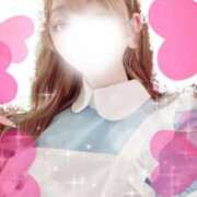 ヒメ日記 2025/02/28 12:42 投稿 しろ 奥様プリモ