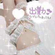 ヒメ日記 2025/03/13 03:29 投稿 しろ 奥様プリモ