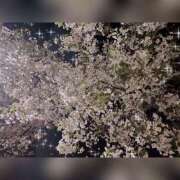 ヒメ日記 2025/04/08 03:49 投稿 しろ 奥様プリモ