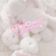 ヒメ日記 2025/04/12 17:49 投稿 しろ 奥様プリモ