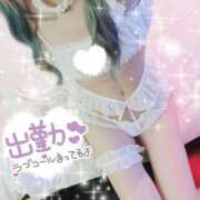 ヒメ日記 2025/04/18 09:09 投稿 しろ 奥様プリモ