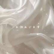 ヒメ日記 2025/05/31 13:59 投稿 しろ 奥様プリモ