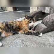 ヒメ日記 2025/09/20 13:49 投稿 しろ 奥様プリモ