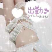 ヒメ日記 2025/09/20 21:29 投稿 しろ 奥様プリモ