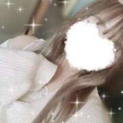 ヒメ日記 2025/09/23 21:09 投稿 しろ 奥様プリモ