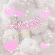 ヒメ日記 2025/10/30 12:29 投稿 しろ 奥様プリモ