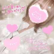 ヒメ日記 2025/11/03 17:29 投稿 しろ 奥様プリモ