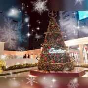 ヒメ日記 2025/11/15 22:09 投稿 しろ 奥様プリモ