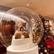 ヒメ日記 2025/11/20 22:49 投稿 しろ 奥様プリモ